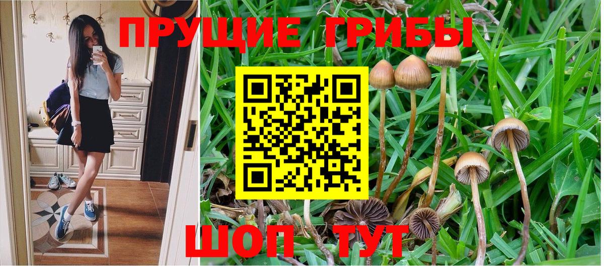 Нерюнгри  Псилоцибиновые грибы Psilocybine cubensis  Вход с VPN  Галлюциногенные грибы Psilocybe 